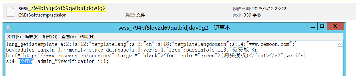 image-20250312234548755